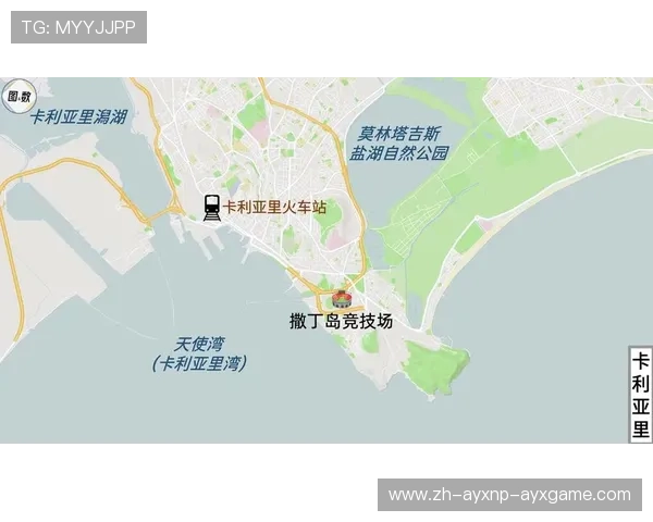 意甲降级球队打平赛果统计及影响分析