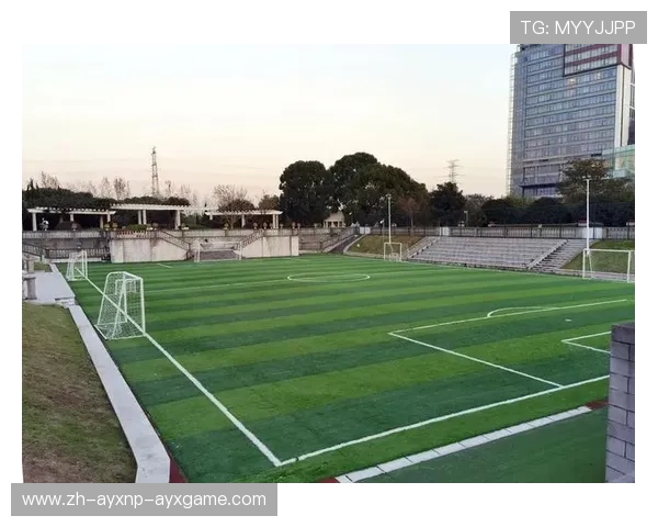 足球生态认证标准是否已成为国际顶级赛事场馆建设新门槛